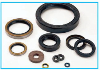 Dynamic Shaft Seals