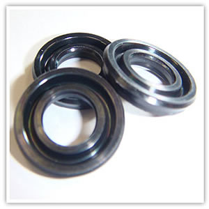 Gas Spring Seals