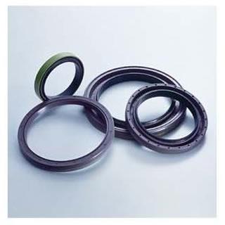 Oil Seals / Radial Shaft Seals