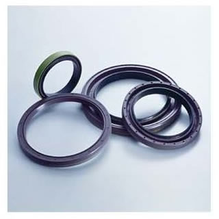 Oil Seal